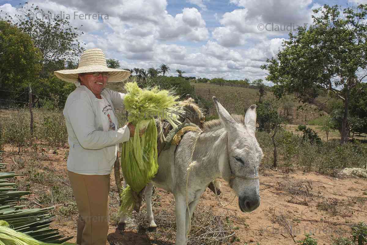 ARTE POPULAR - SISAL