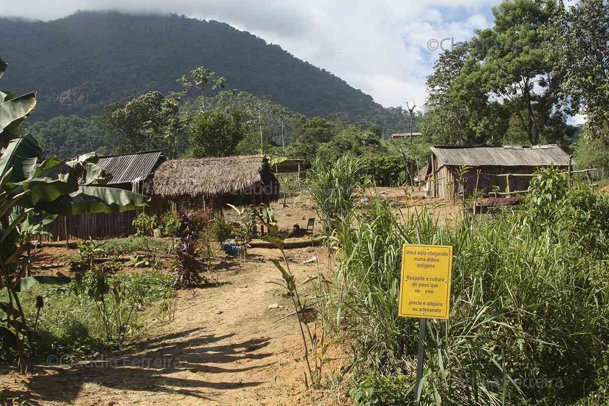 ALDEIA INDÍGENA GUARANI "SAPUKAI"