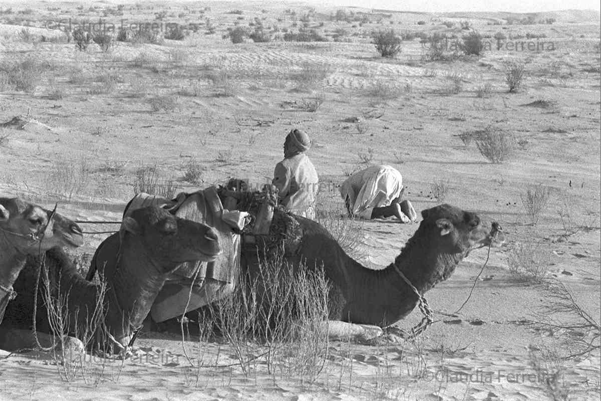 Homens rezando no deserto do Saara