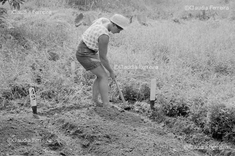 Agricultora, Galdinópolis