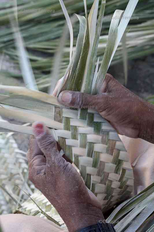 POPULAR ART - OURICURI STRAW